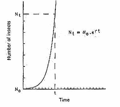 INCREASE OF AN INSECT POPULATION (7KB)