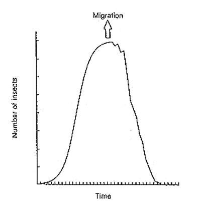 INSECT POPULATION (9KB)