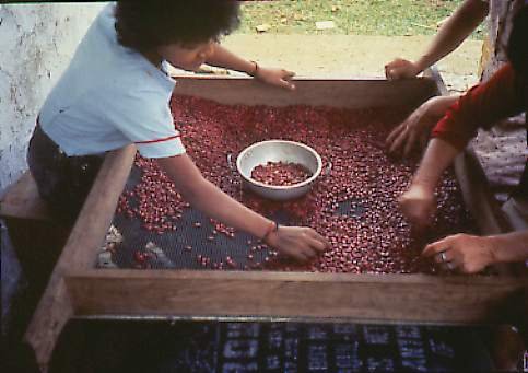SIEVE METHOD OF CLEANING