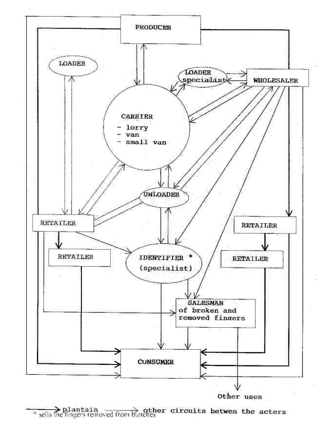 COMPLEX COMMERCIALIZATION CHANNEL (35KB)